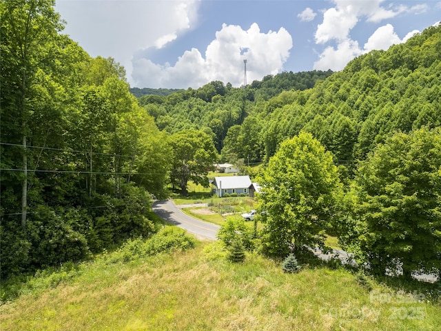 168 Smith Creek Rd, Mars Hill, NC 28754