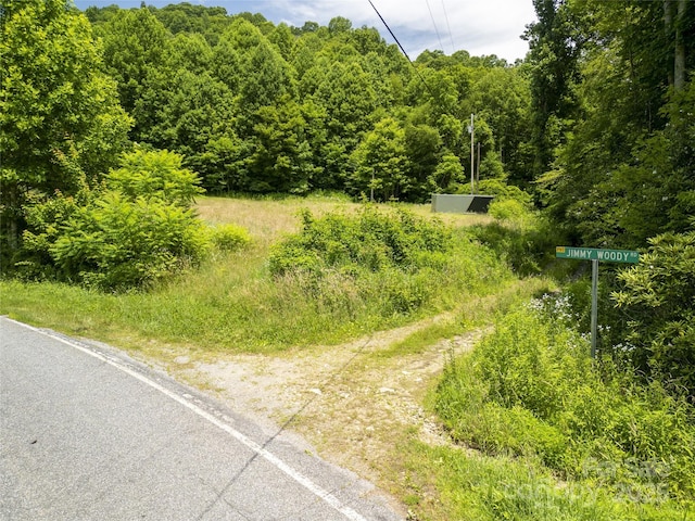 168 Smith Creek Rd, Mars Hill, NC 28754