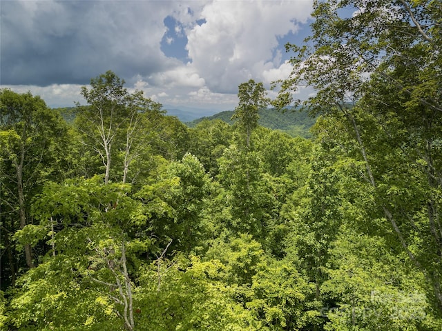 168 Smith Creek Rd, Mars Hill, NC 28754