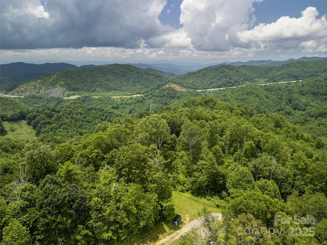 168 Smith Creek Rd, Mars Hill, NC 28754