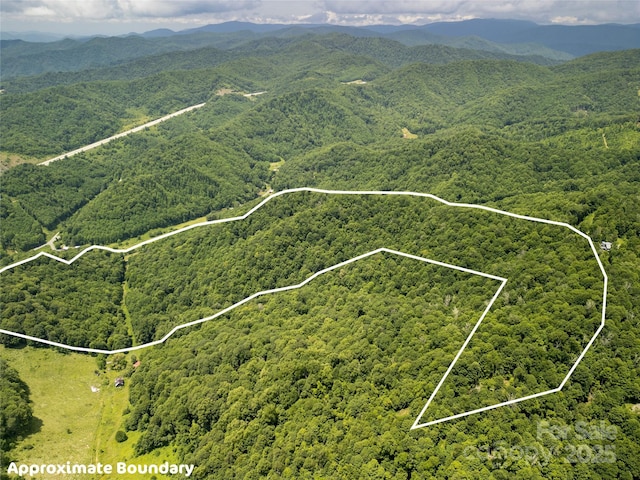 168 Smith Creek Rd, Mars Hill, NC 28754