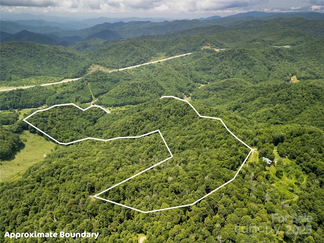 168 Smith Creek Rd, Mars Hill, NC 28754