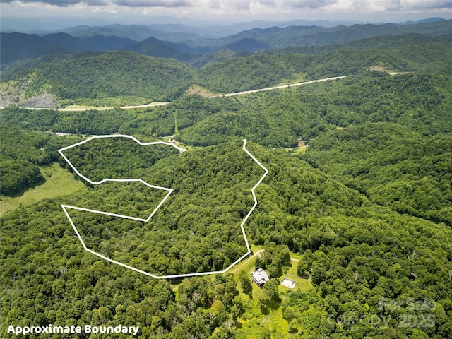 168 Smith Creek Rd, Mars Hill, NC 28754
