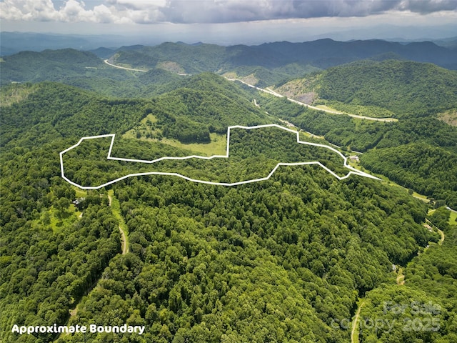 168 Smith Creek Rd, Mars Hill, NC 28754