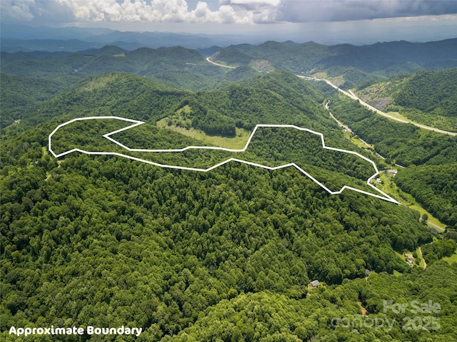 168 Smith Creek Rd, Mars Hill, NC 28754