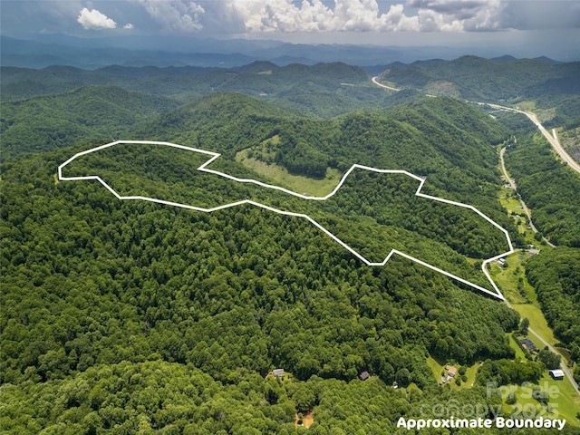 168 Smith Creek Rd, Mars Hill, NC 28754