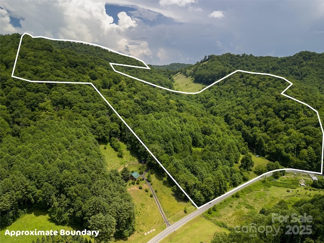 168 Smith Creek Rd, Mars Hill, NC 28754