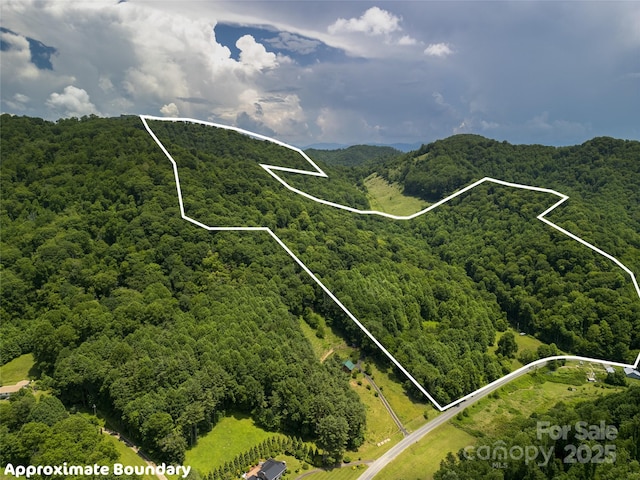 168 Smith Creek Rd, Mars Hill, NC 28754