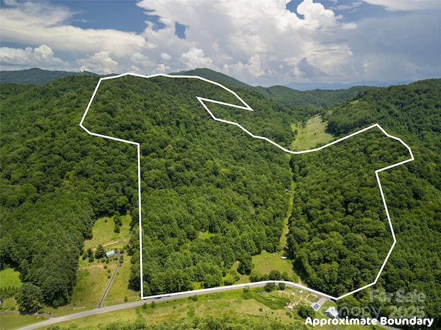 168 Smith Creek Rd, Mars Hill, NC 28754