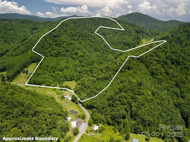 168 Smith Creek Rd, Mars Hill, NC 28754