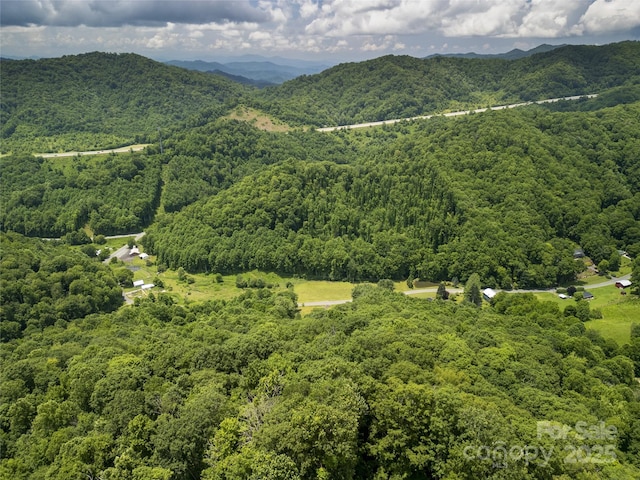 168 Smith Creek Rd, Mars Hill, NC 28754