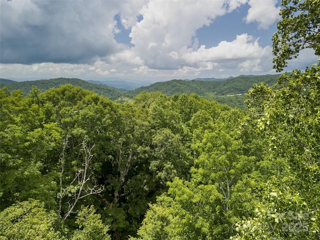 168 Smith Creek Rd, Mars Hill, NC 28754
