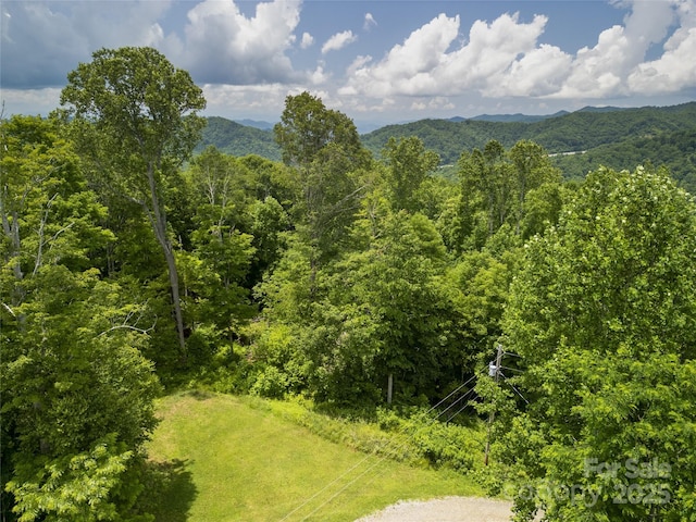 168 Smith Creek Rd, Mars Hill, NC 28754