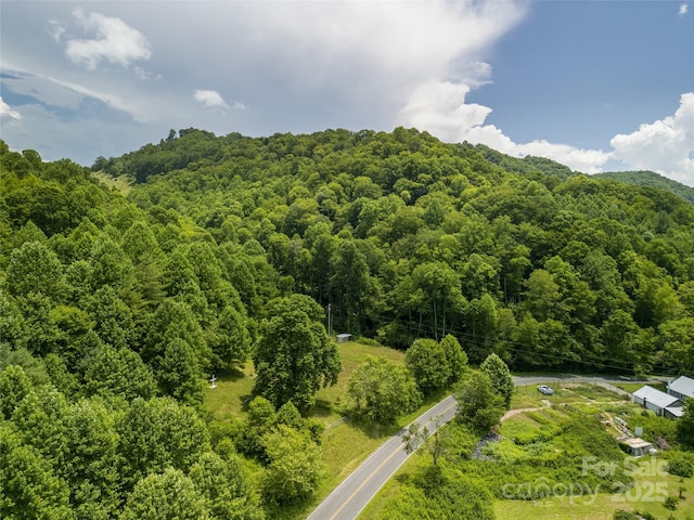 168 Smith Creek Rd, Mars Hill, NC 28754