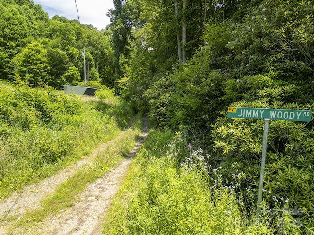 168 Smith Creek Rd, Mars Hill, NC 28754