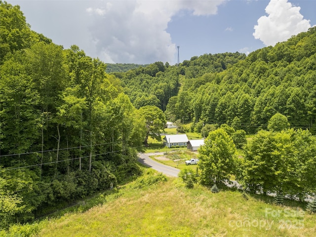 168 Smith Creek Rd, Mars Hill, NC 28754