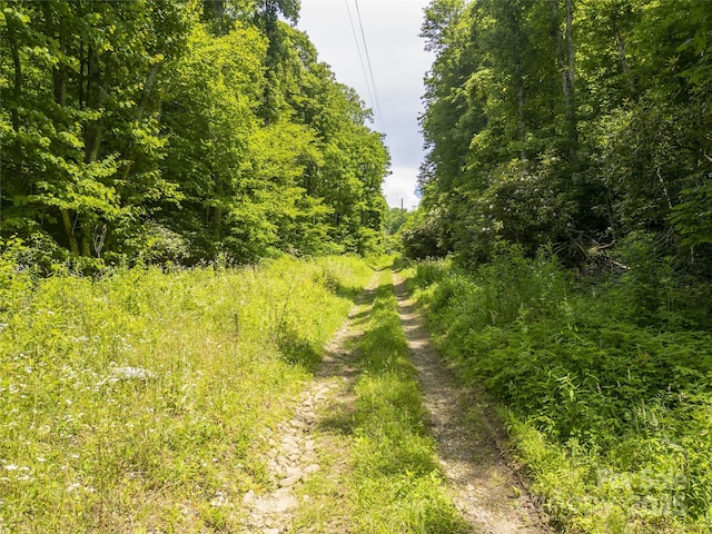 168 Smith Creek Rd, Mars Hill, NC 28754