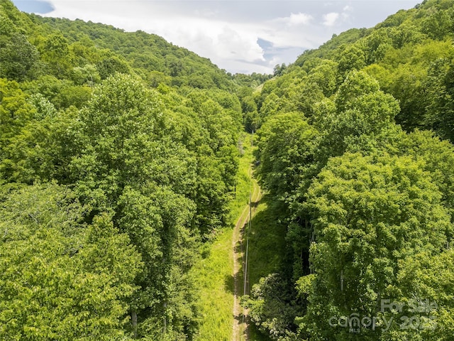 168 Smith Creek Rd, Mars Hill, NC 28754