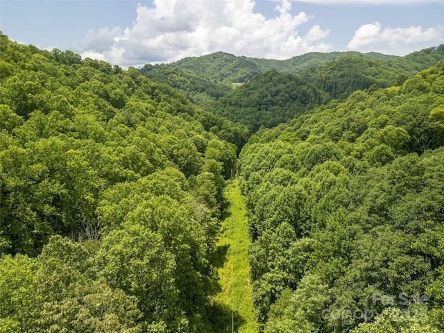 168 Smith Creek Rd, Mars Hill, NC 28754