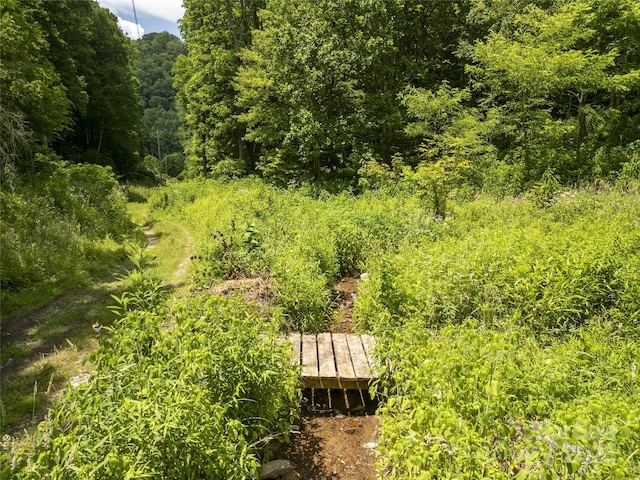 168 Smith Creek Rd, Mars Hill, NC 28754