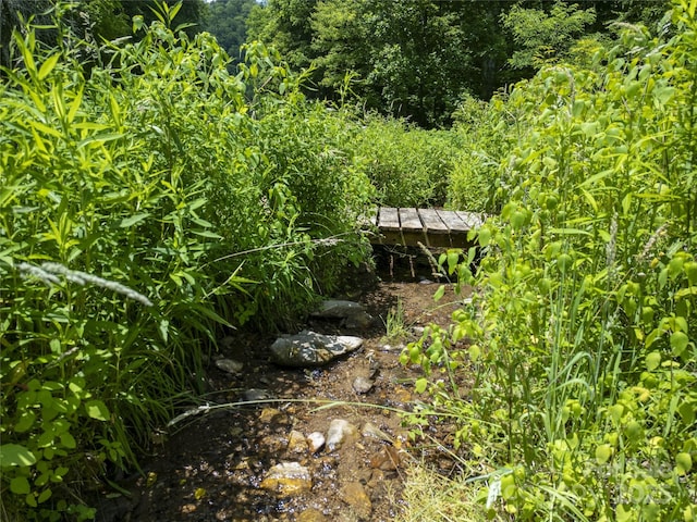 168 Smith Creek Rd, Mars Hill, NC 28754