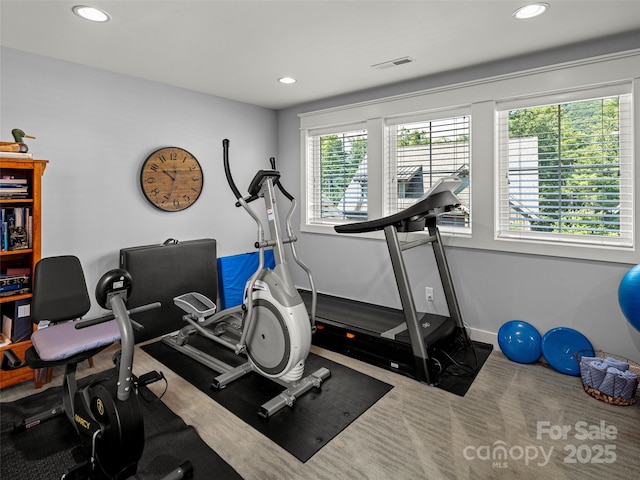 30 Stills Creek Loop, Fairview, NC 28730 - workout area with recessed lighting