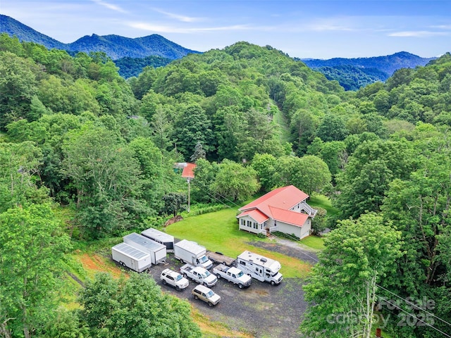 236 Old Roan Mountain Rd, Bakersville, NC 28705 - photo 35