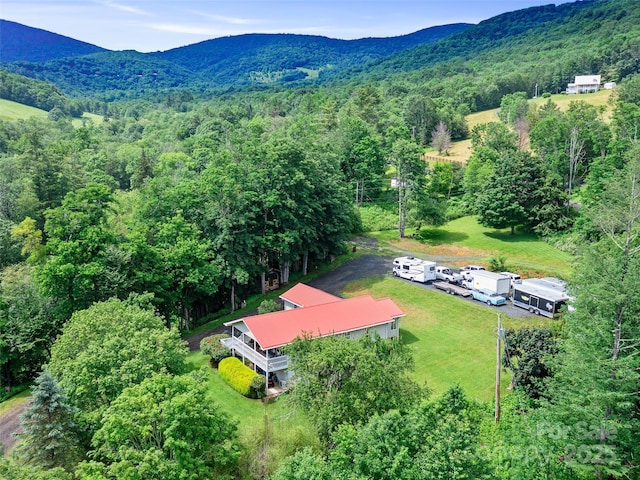 236 Old Roan Mountain Rd, Bakersville, NC 28705 - photo 39