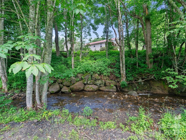 236 Old Roan Mountain Rd, Bakersville, NC 28705 - photo 28