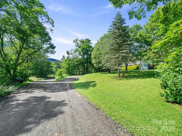 236 Old Roan Mountain Rd, Bakersville, NC 28705 - photo 29