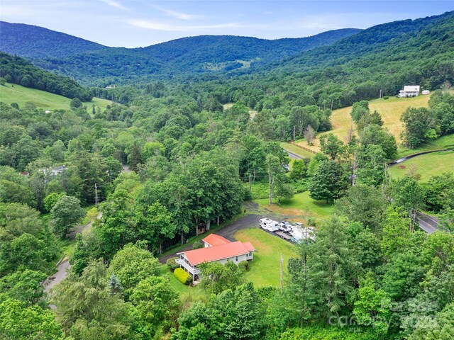 236 Old Roan Mountain Rd, Bakersville, NC 28705 - photo 31