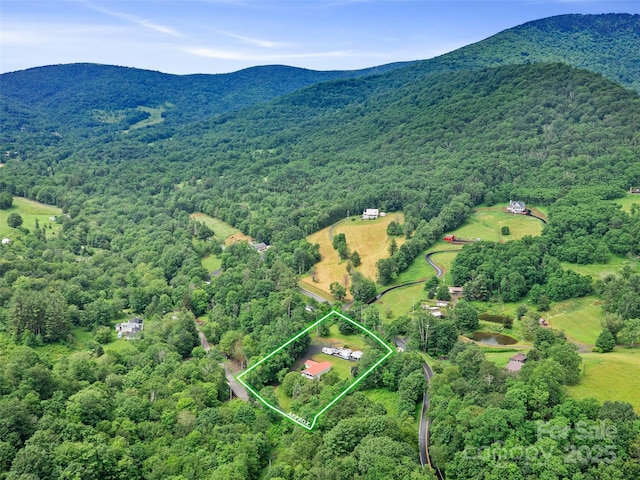 236 Old Roan Mountain Rd, Bakersville, NC 28705 - photo 32