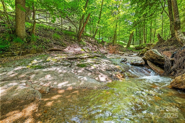 321 Charter Hills Rd, Beech Mountain, NC 28604 - photo 3