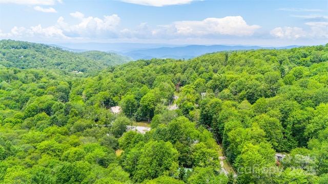 321 Charter Hills Rd, Beech Mountain, NC 28604 - photo 46