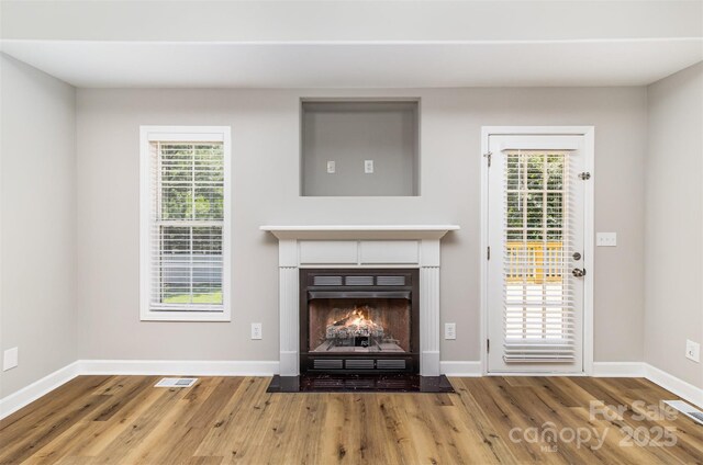 608 Red Hawk Way, Clover, SC 29710 - detailed view of wood finished floors and a fireplace with flush hearth