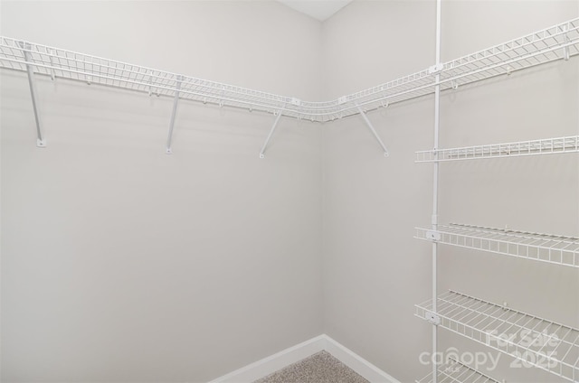608 Red Hawk Way, Clover, SC 29710 - view of walk in closet