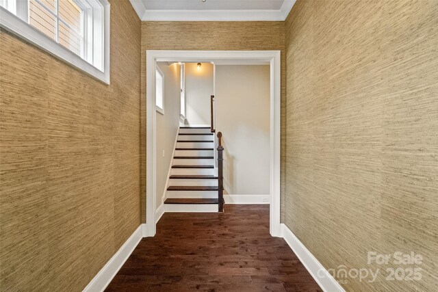115 Boyce Rd, Charlotte, NC 28211 - stairs featuring wood finished floors, wallpapered walls, and ornamental molding