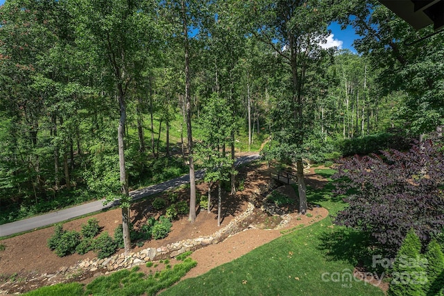 81 Robinhood Rd, Asheville, NC 28804 - photo 33