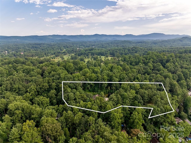 300 White Pine Dr, Hendersonville, NC 28739 - photo 47