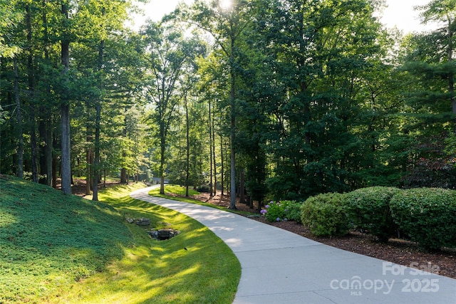300 White Pine Dr, Hendersonville, NC 28739 - photo 4