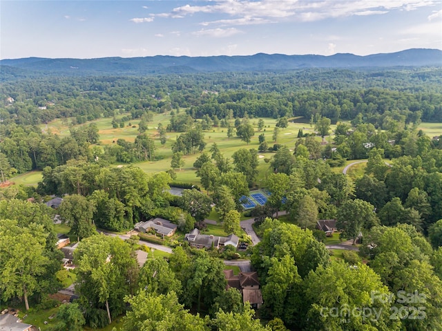 300 White Pine Dr, Hendersonville, NC 28739 - photo 5