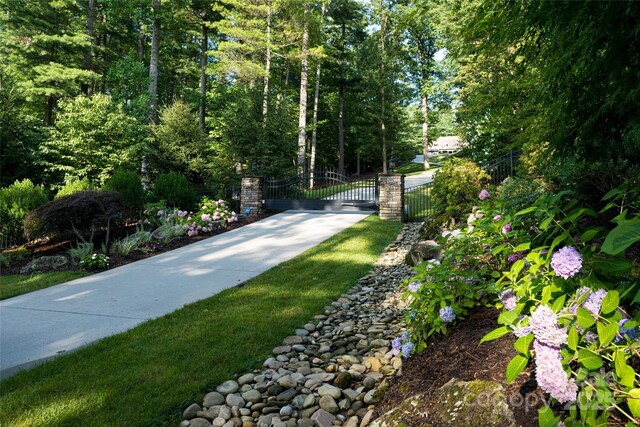 300 White Pine Dr, Hendersonville, NC 28739 - photo 46