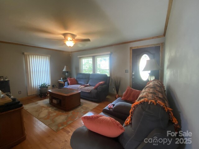4303 Grier St, Gastonia, NC 28056 - living room with ornamental molding, light wood finished floors, and ceiling fan
