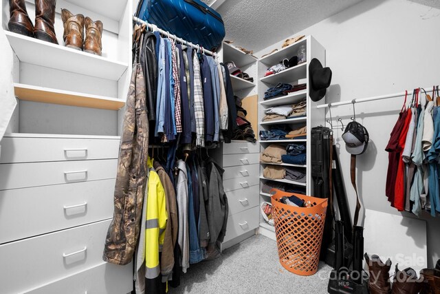 7648 Forest Oak Dr, Denver, NC 28037 - view of walk in closet