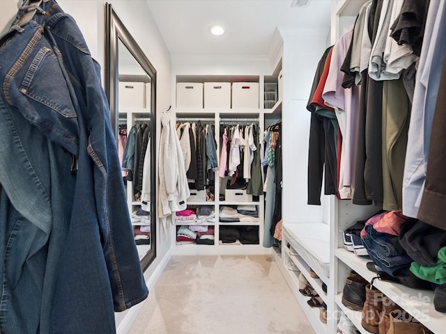 13930 Daltrey Ln, Charlotte, NC 28277 - spacious closet featuring light carpet