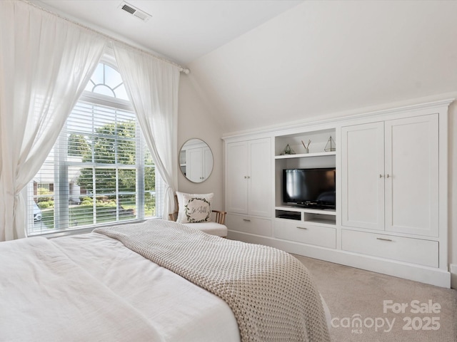 13930 Daltrey Ln, Charlotte, NC 28277 - bedroom featuring lofted ceiling and light colored carpet