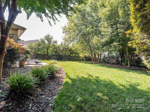13930 Daltrey Ln, Charlotte, NC 28277 - view of yard