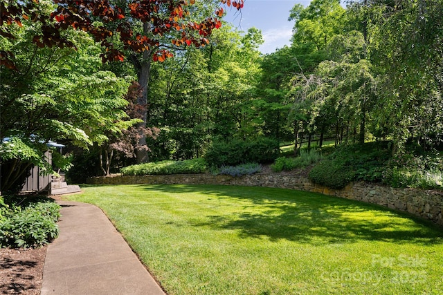 33 Deerhaven Ln, Asheville, NC 28803 - photo 3