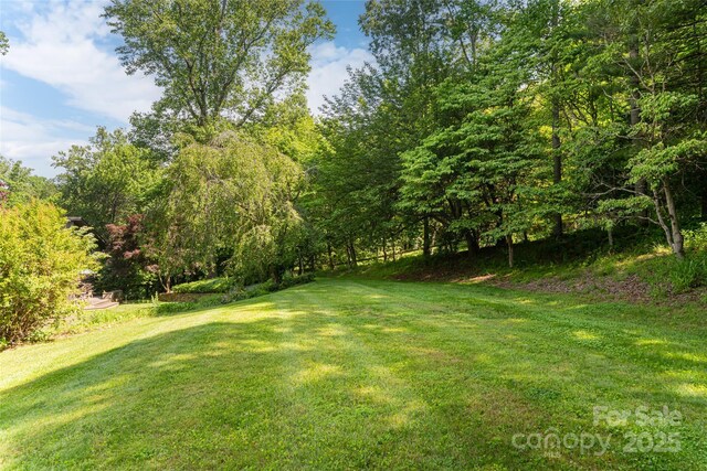 33 Deerhaven Ln, Asheville, NC 28803 - photo 44