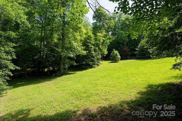 33 Deerhaven Ln, Asheville, NC 28803 - photo 45